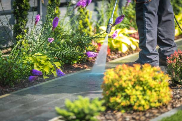 Best Driveway Pressure Washing  in Frewsburg, NY
