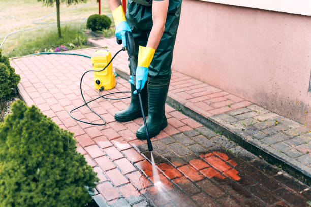 Best Gutter Cleaning  in Frewsburg, NY